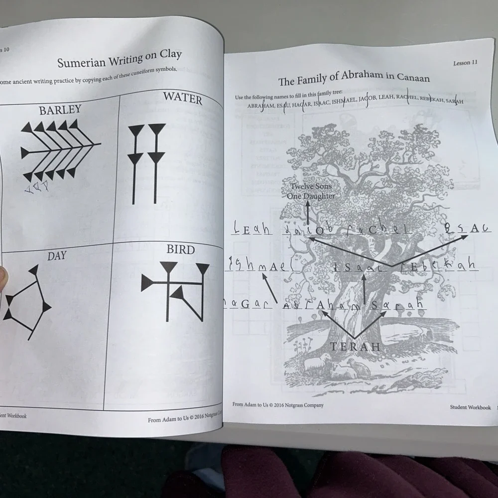 From Adam to Us Student Workbook‎ History Curriculum Homeschool